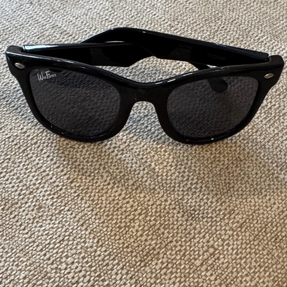 Wayfarer Black Sunglasses